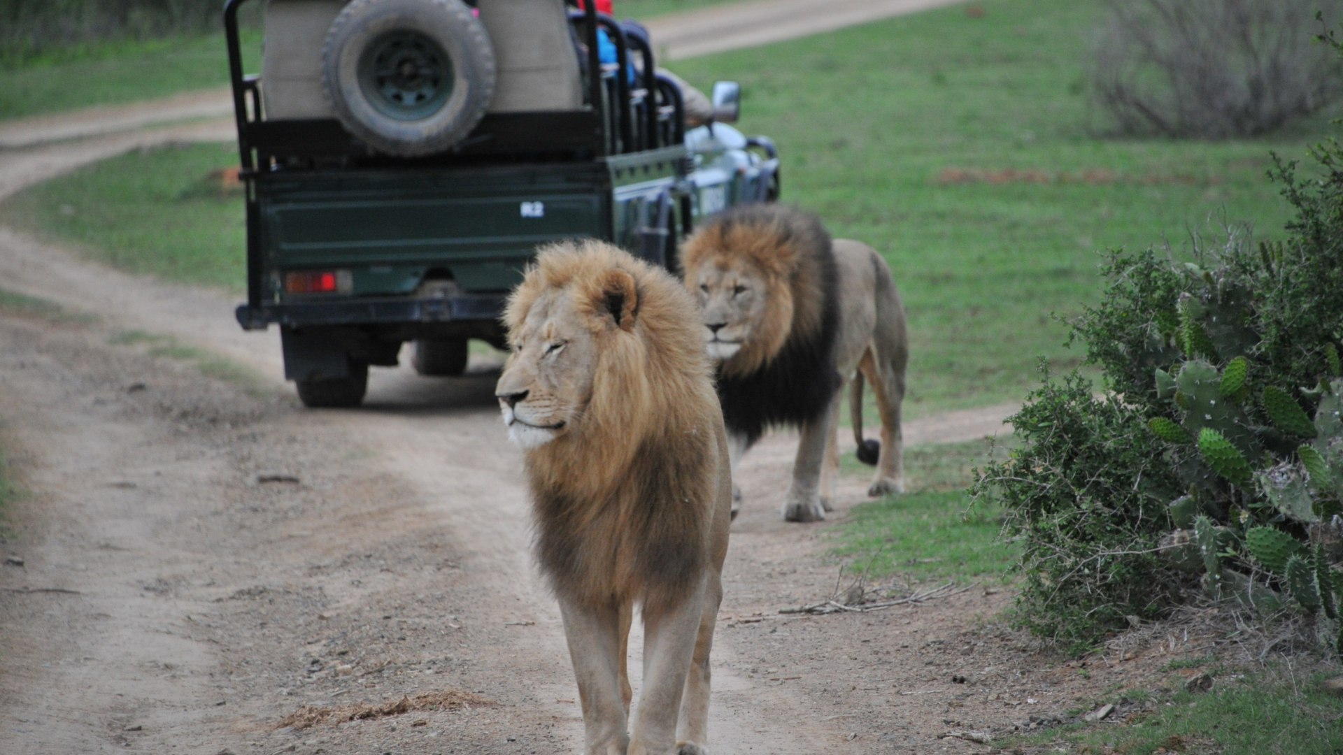 Aktive Entdeckungstour entlang der Garden Route